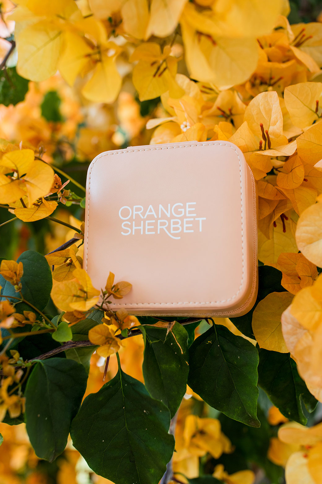 Orange Sherbet Jewellery Case