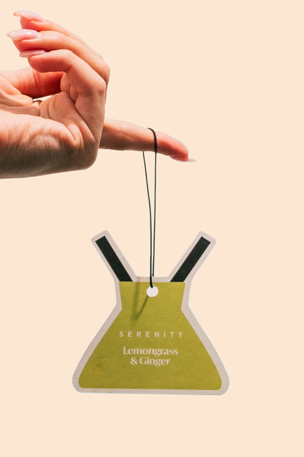 Home Fragrance Co Air Freshener Lemongrass & Ginger