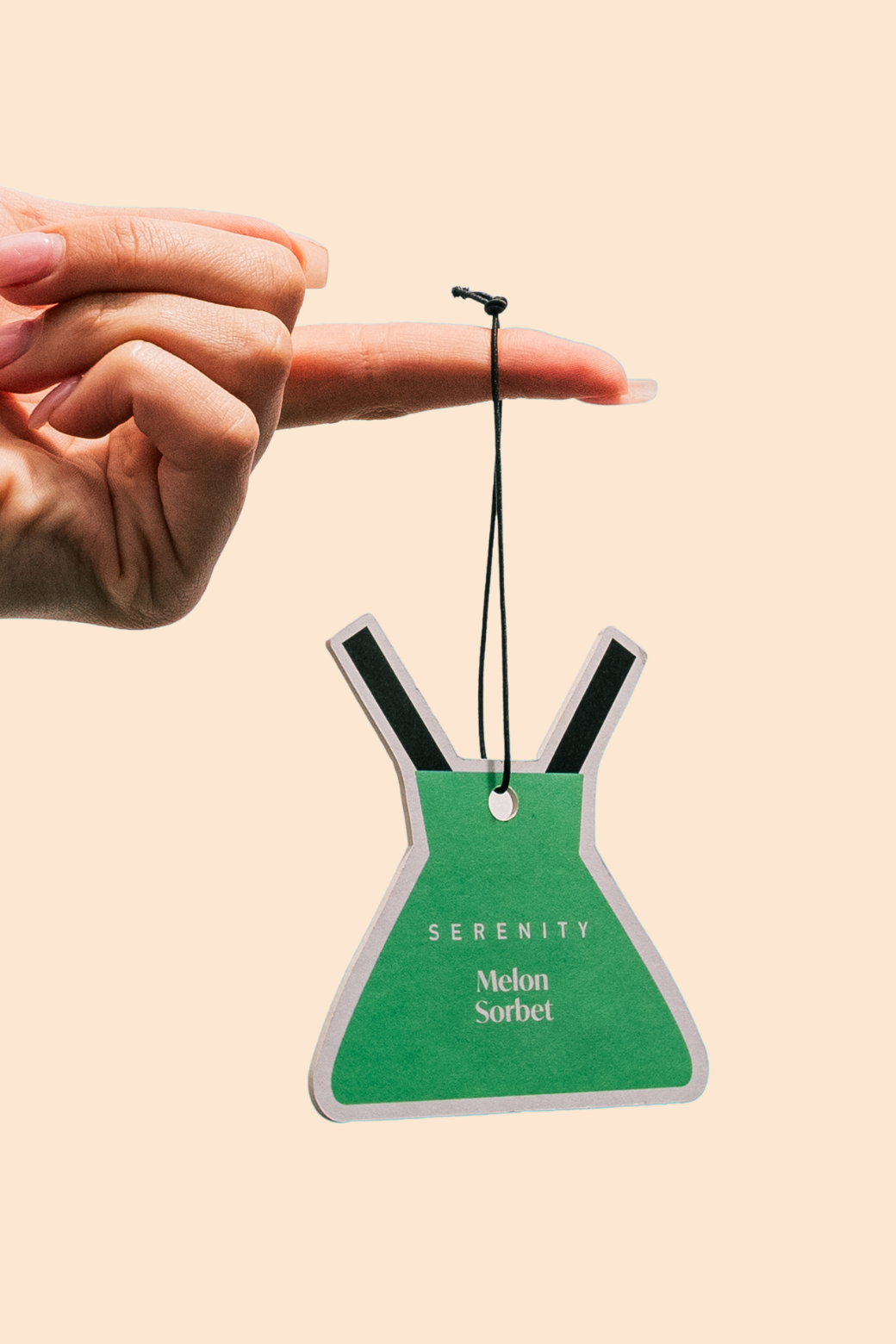 Home Fragrance Co Air Freshener Melon Sorbet