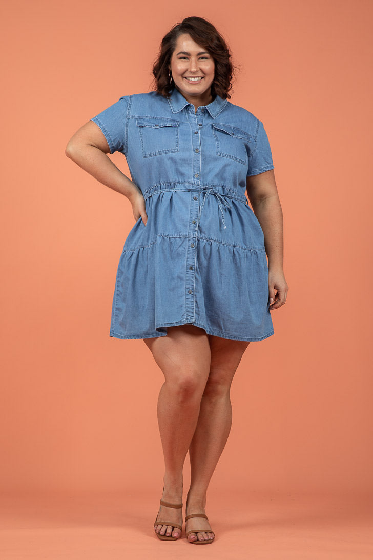 Roslyn Dress Indigo